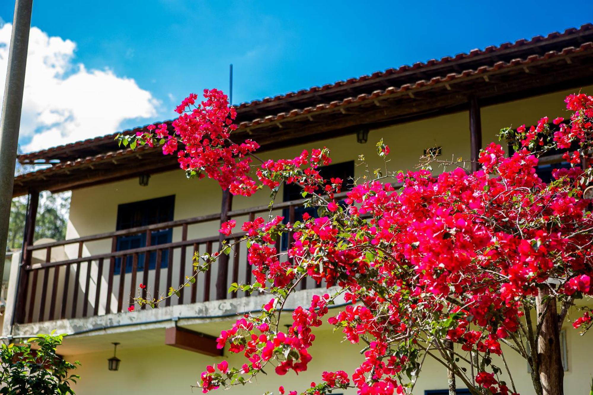 Fazenda Hotel Alvorada Santos Dumont Eksteriør billede
